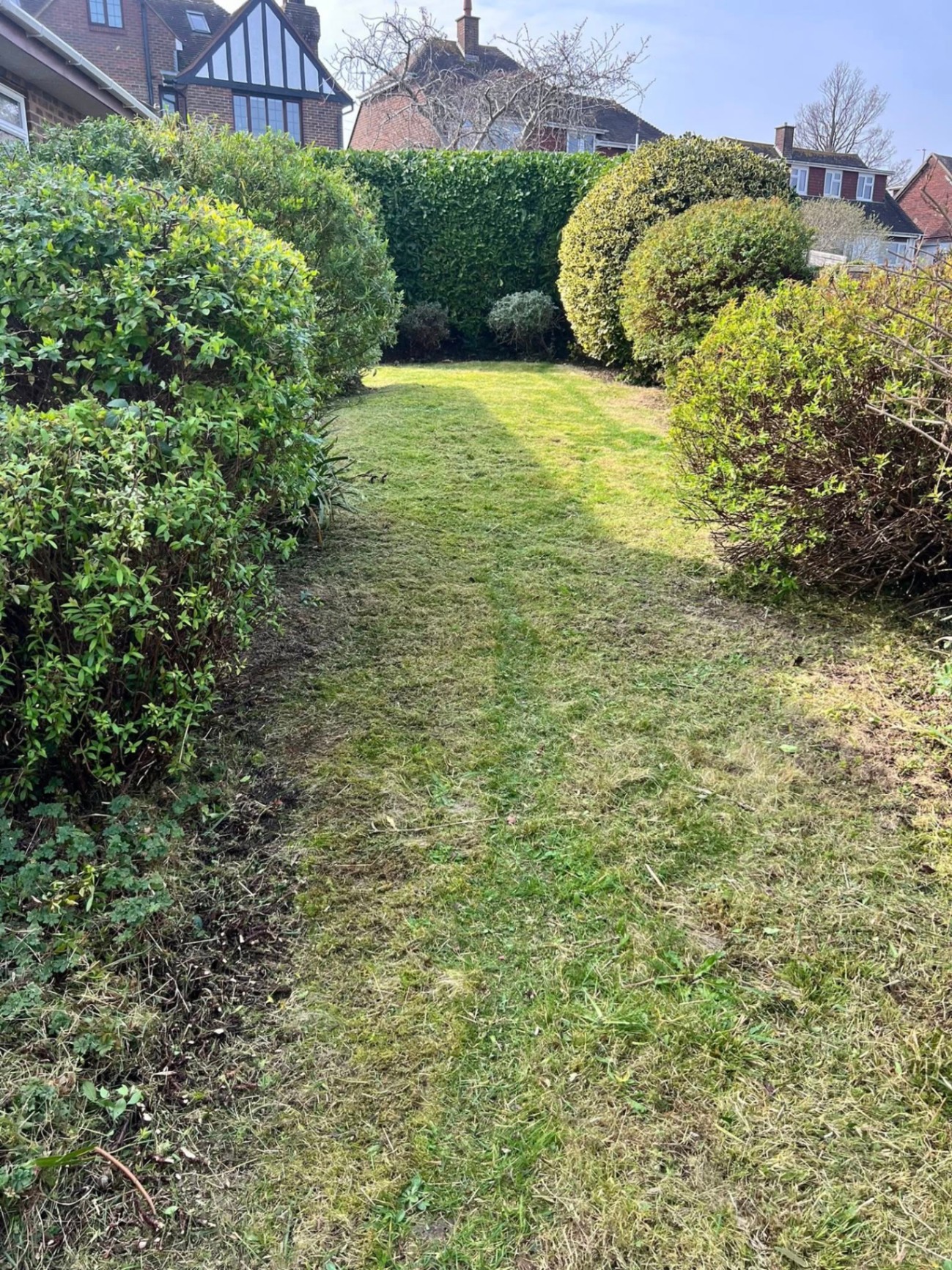 Garden reclaim — after