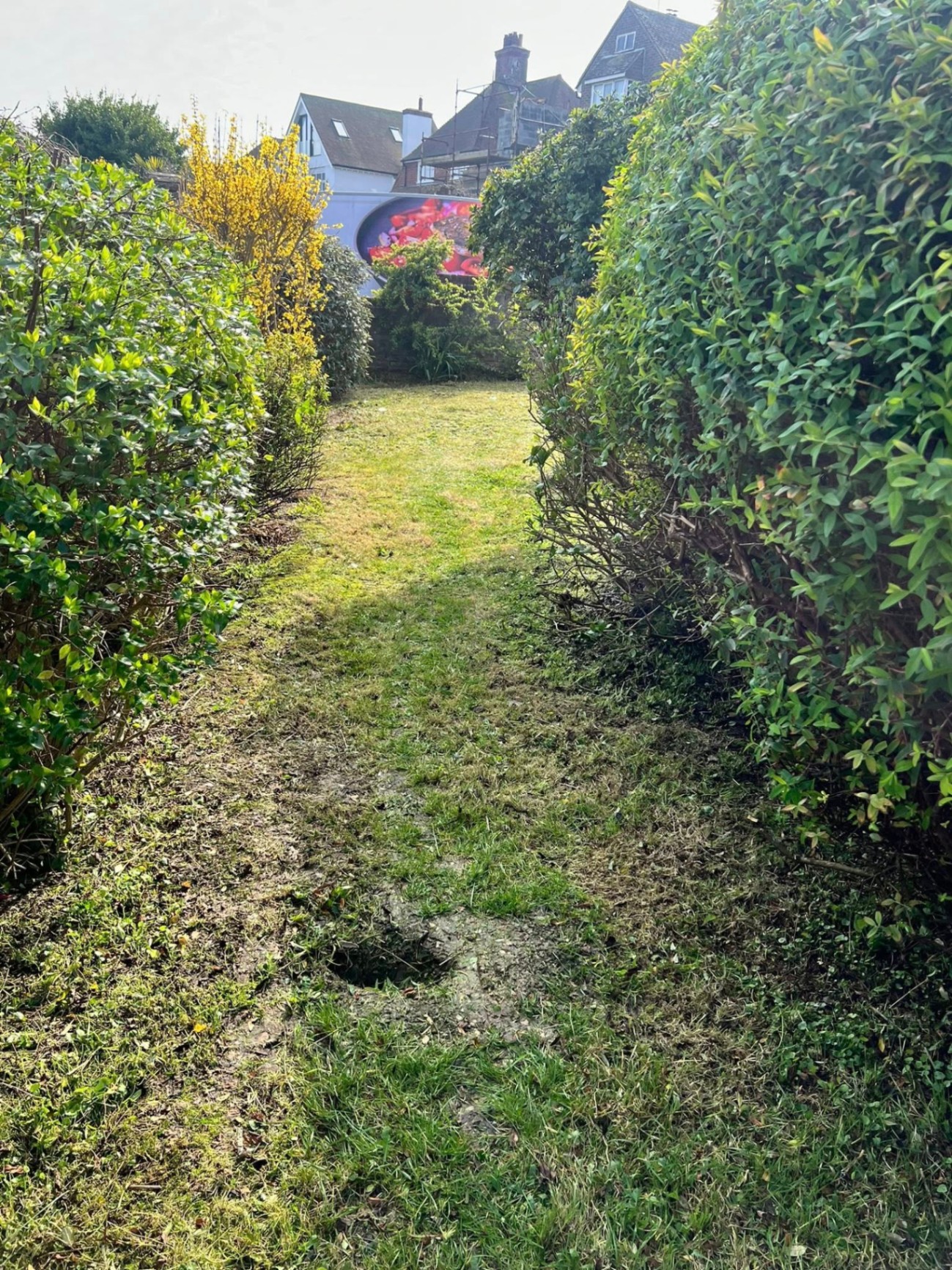 Garden reclaim — before
