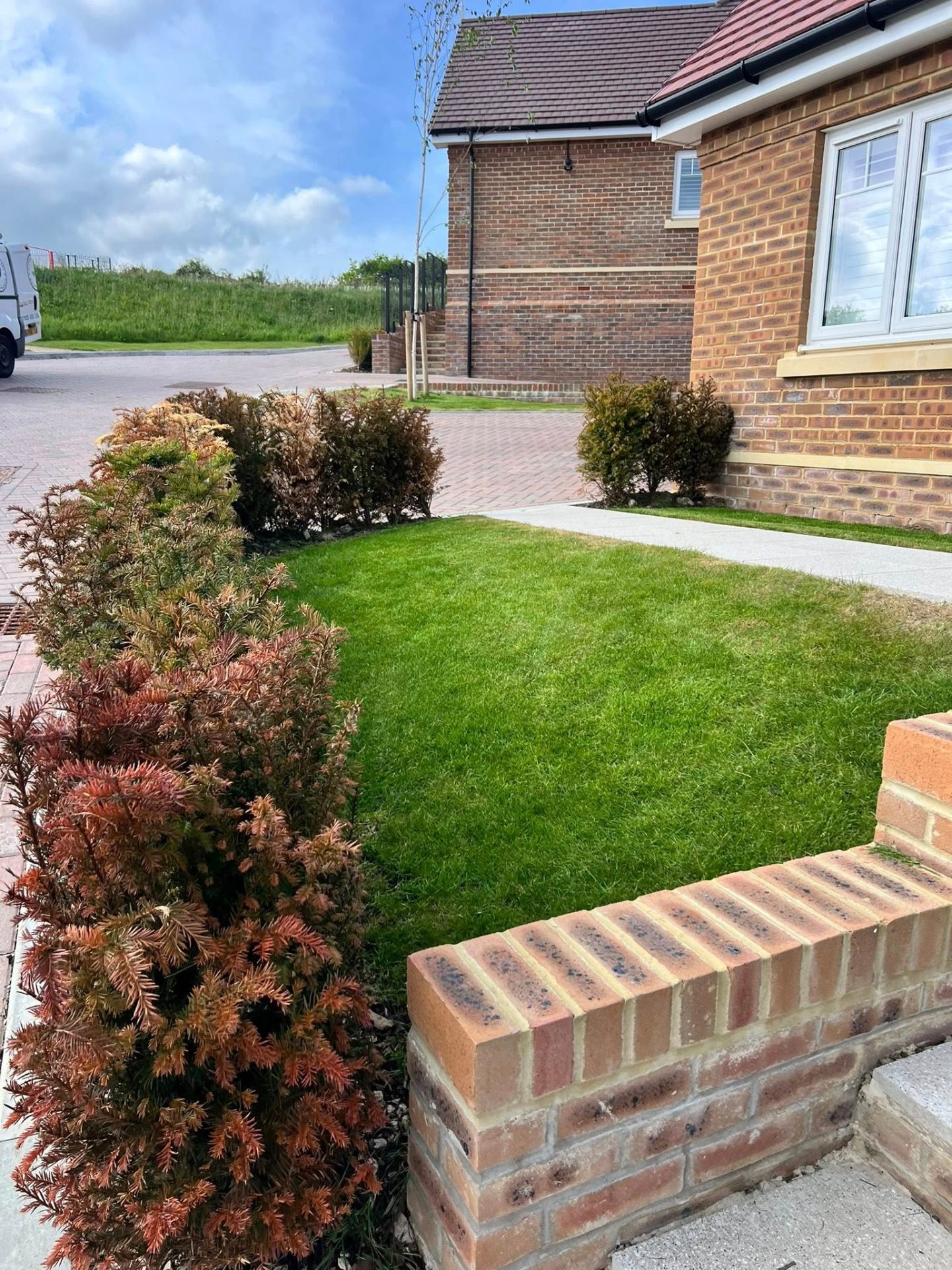 New-build front garden
