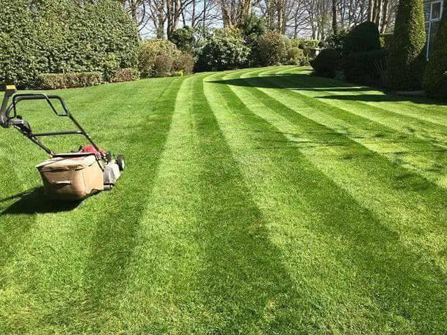Precision lawn cut