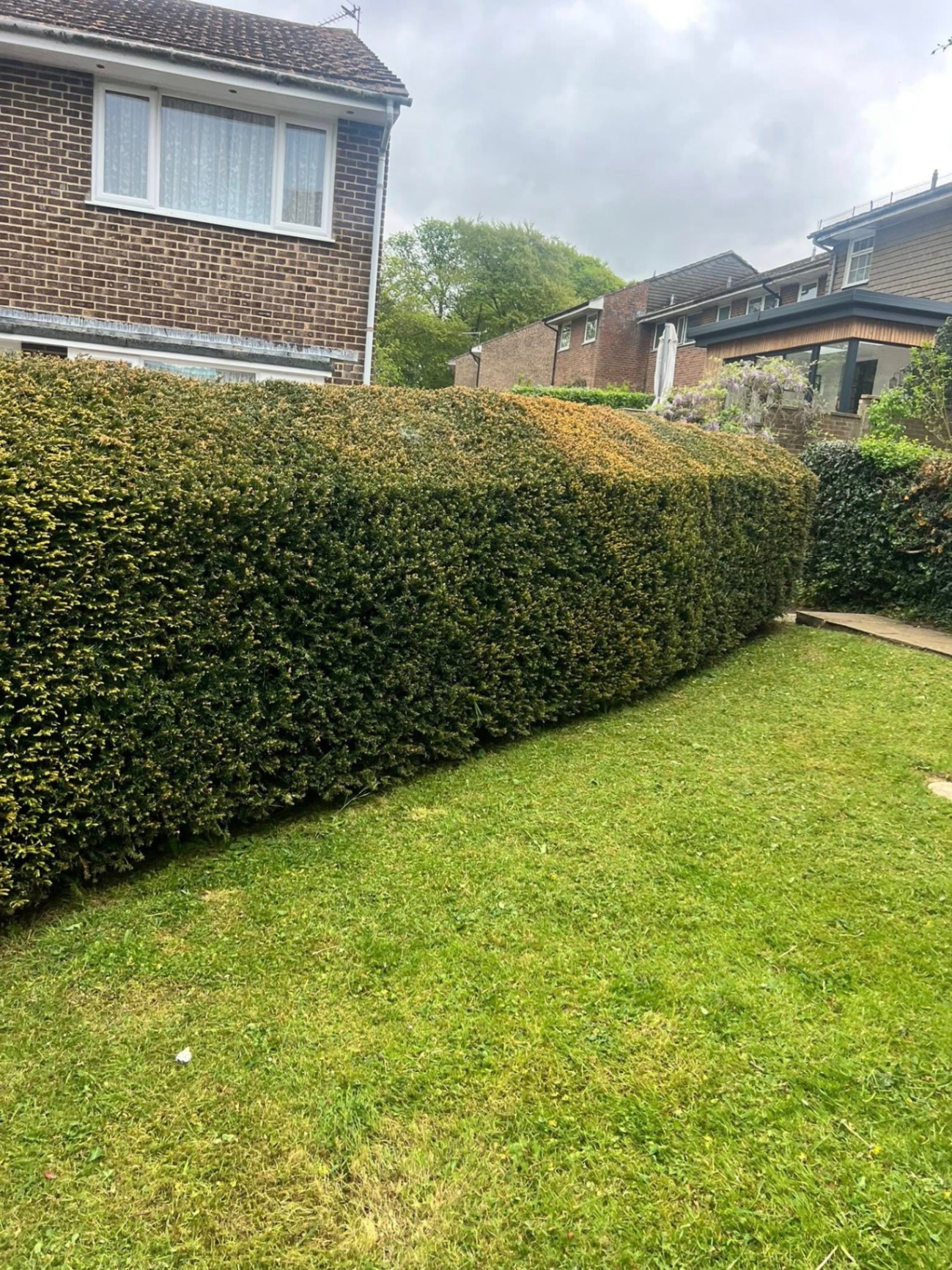 Hedge trim & shaping