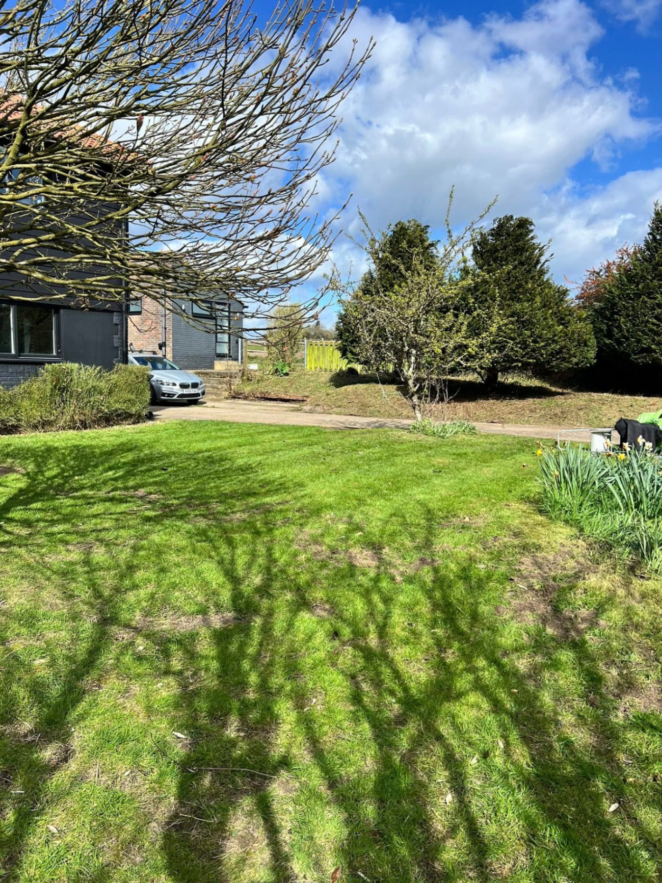 Lawn restoration & tidy-up